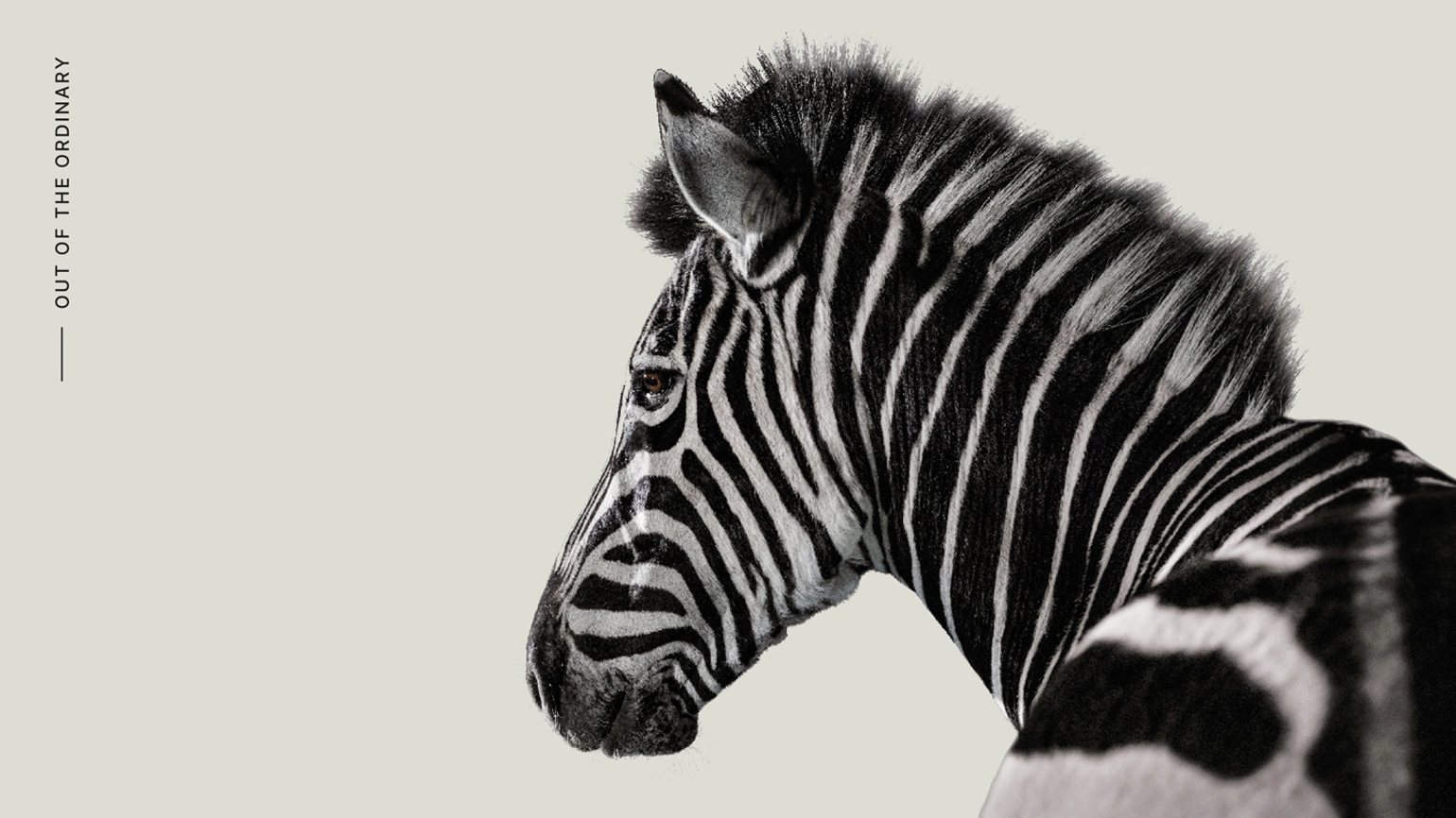 Investec 03