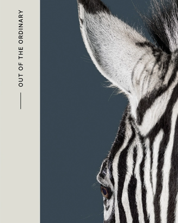 Investec 04