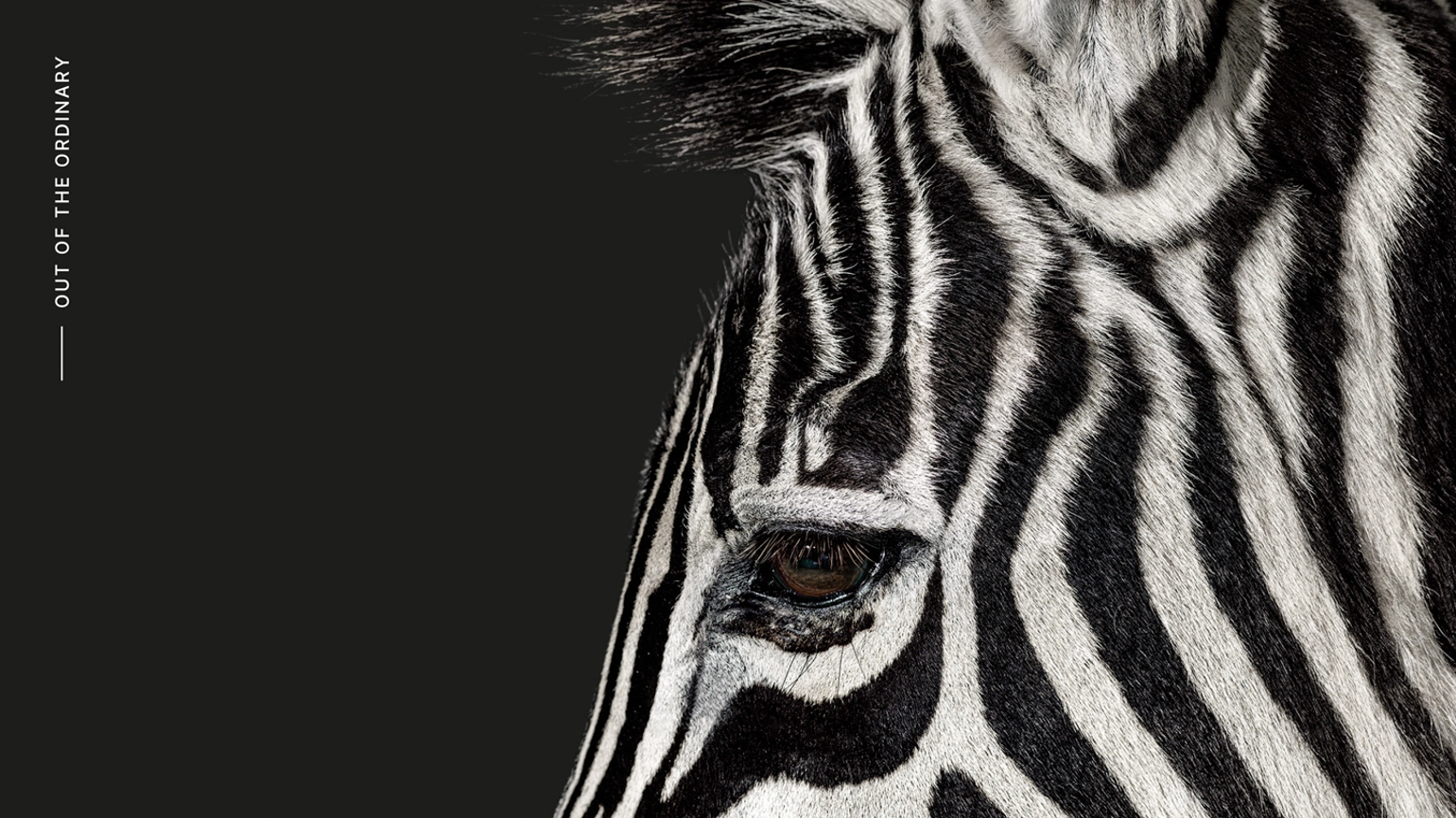 Investec 01